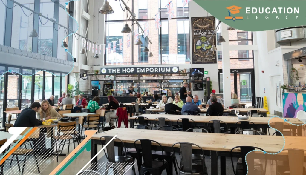 expert education consultants