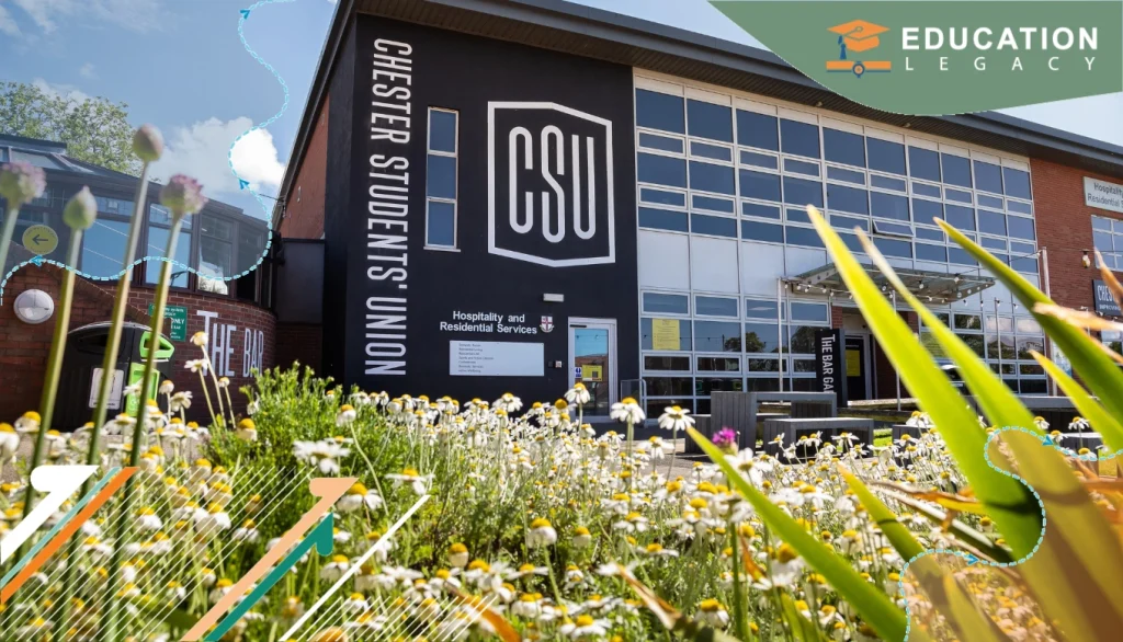 expert education consultants